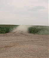 168.jpg