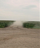 169.jpg