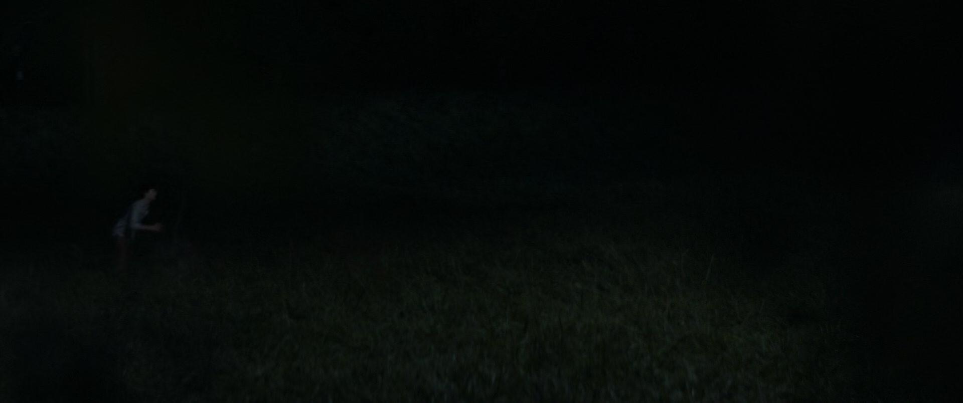 339.jpg 339.jpg