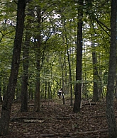 1143.jpg