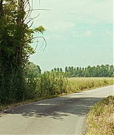 1081.jpg