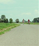 135.jpg